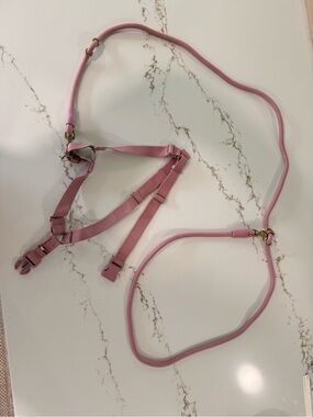 AWOO Roam Harness in Large & Infinity Leash